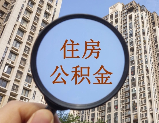 沛县离职公积金什么时候可以取（住房公积金离职之后什么时候可以取）